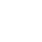 Government Icon